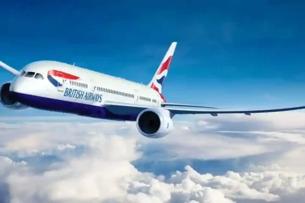 1133 passengers landed at St Kitts and Nevis onboard British Airways in June 2024
