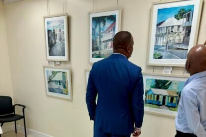 Howard Pain Paintings in Nevis