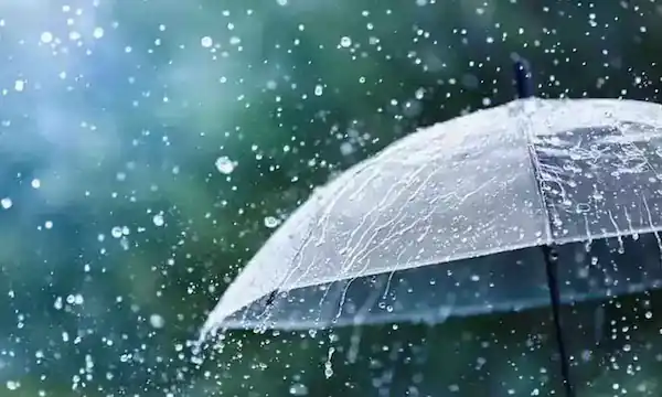 Grenada and St Vincent to be affected by approaching tropical wave