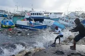 Hurricane Beryl devastates crops, marine and aquaculture sector in Grenada