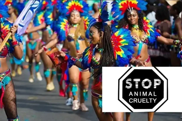 Grenada bans use of animals in Spicemas performances to combat cruelty