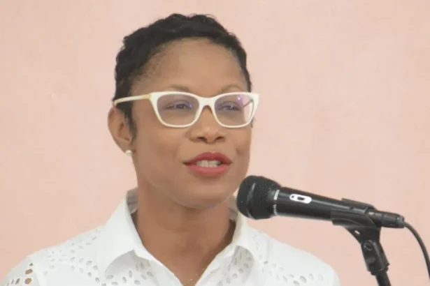 Barbados set to launch first Battery Energy Storage Systems to boost grid capacity