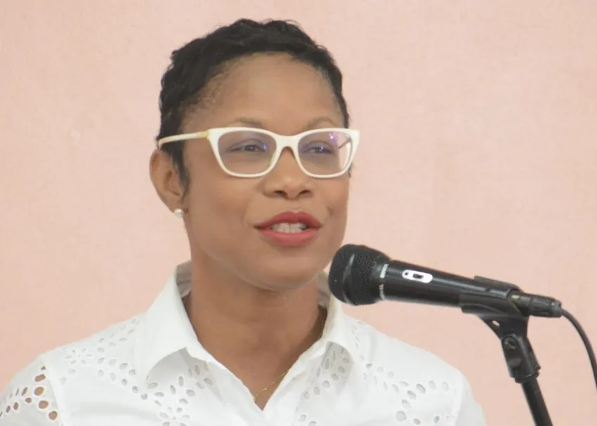 Barbados set to launch first Battery Energy Storage Systems to boost grid capacity