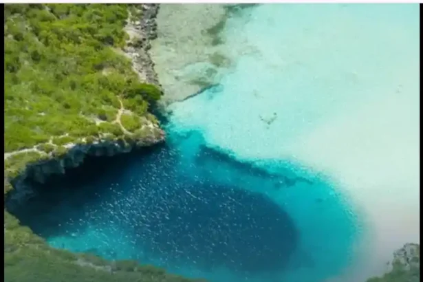 Bahamas Drowning
