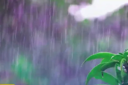 Tropical Wave expects to bring showers, thunderstorms across South Bahamas