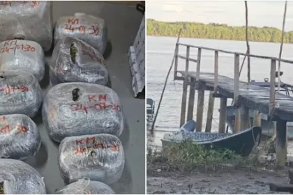 Police seize 135 lbs of cannabis in joint operation in Guyana