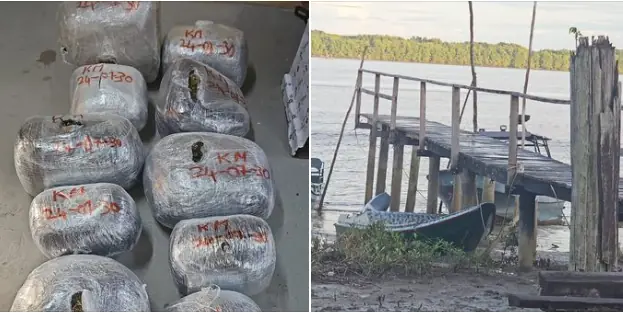 Police seize 135 lbs of cannabis in joint operation in Guyana