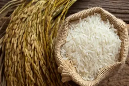 Guyana reports increase in rice production, achieves 362,000 metric tonnes