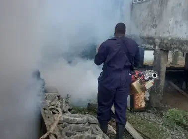 Barbados announces fogging schedule for St Michael and St George communities