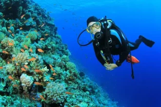 Divers exploring the vibrant underwater life during the Saint Lucia Dive Fest 2024.