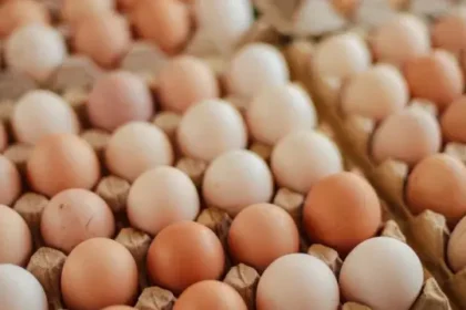 Eggs displayed for sale in a market in Antigua and Barbuda.