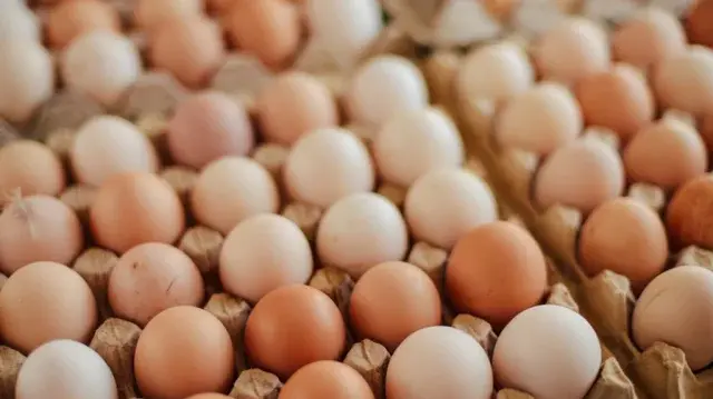 Eggs displayed for sale in a market in Antigua and Barbuda.