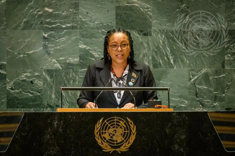 President Sylvanie Burton addresses the 79th UN General Assembly on health and climate issues.