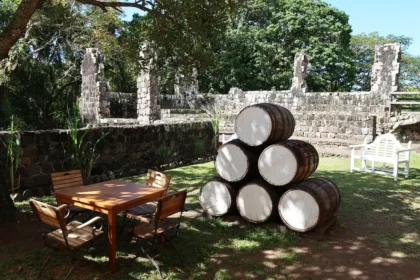 St. Kitts launches the Rum Master Degree program for aspiring rum makers.