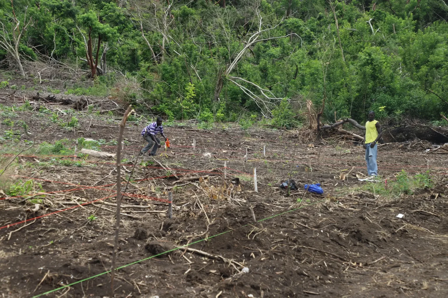 Construction begins on new houses in Carriacou following Hurricane Beryl.