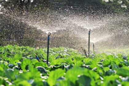 Grenada's CREWS Project To Benefit 90 Farmers