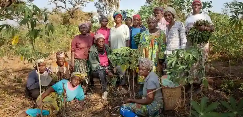 United Nations celebrates International Day of Rural Women highlighting their efforts