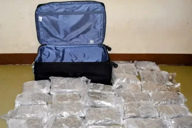 Antiguan officials seized 33.4 pounds of cannabis at V.C. Bird International Airport