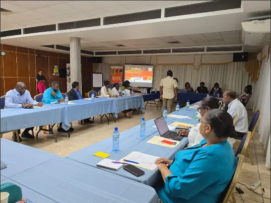 Consultations begin for decriminalization of suicide in Grenada