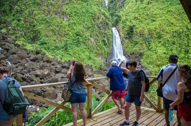 Dominica aims to make May 2025 unforgettable for tourists and locals alike