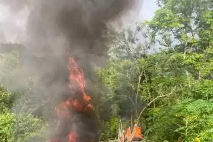 Tobago Police destroy $525K Cannabis Field in Belle Garden