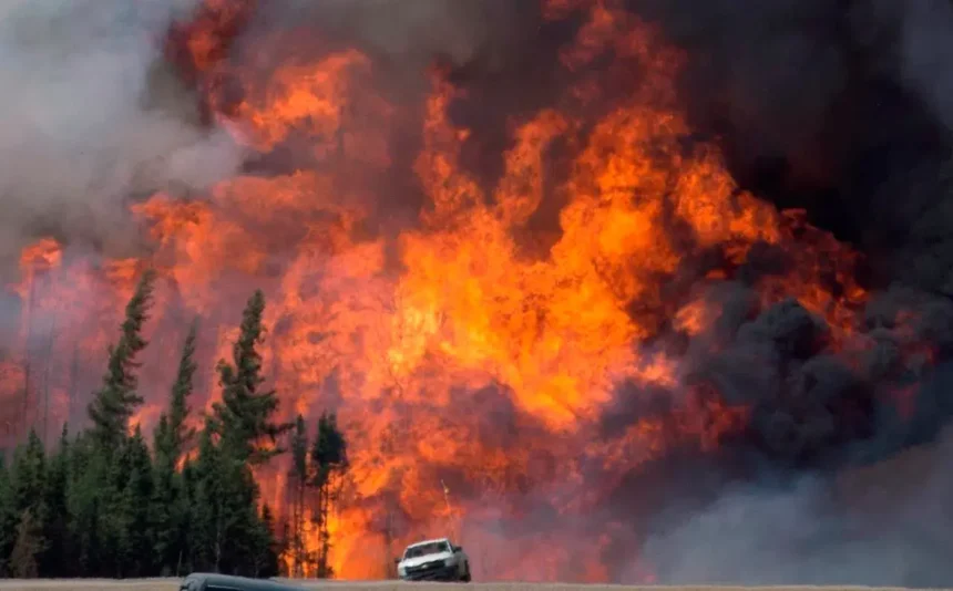 Tragic Fire Near Rupert Dean Lane Claims Life of Toddler, Injures Four Others