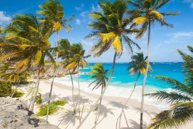 Barbados wins 'Destination of the Year: African Diaspora' at Balearica Tourism Awards