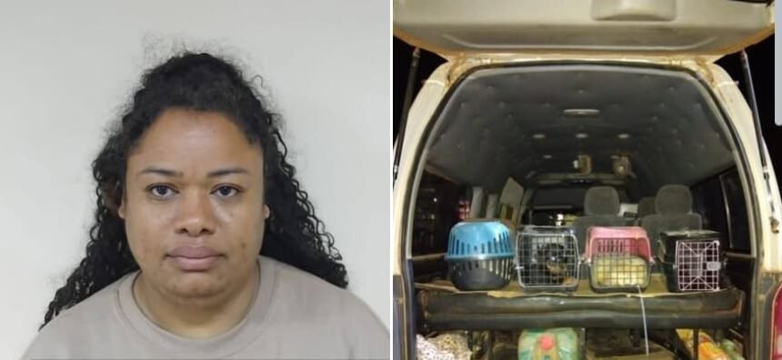 Guyana: Woman charged after attempting to illegally import 10 dogs at Region 9 checkpoint