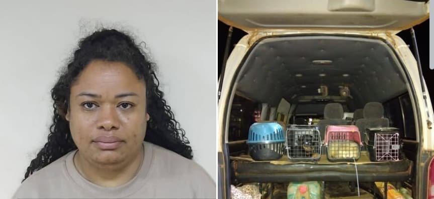 Guyana: Woman charged after attempting to illegally import 10 dogs at Region 9 checkpoint
